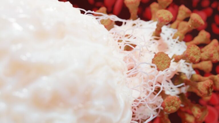 Sprawdzian Z Fonetyki Klasa 7 Wsip www.wsh.net.pl